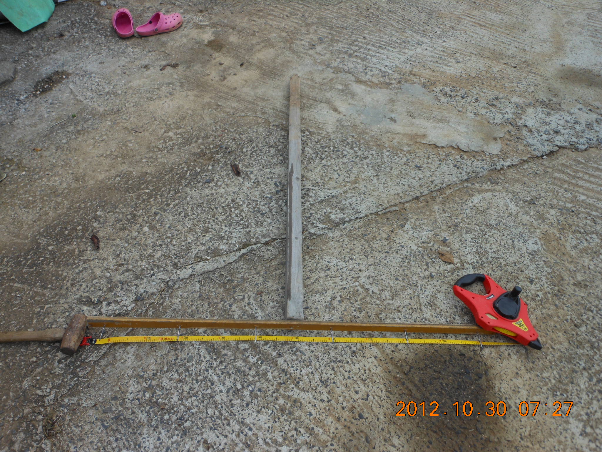 ３号ほ場でカザフ辛味大根の播種 2012-10-30