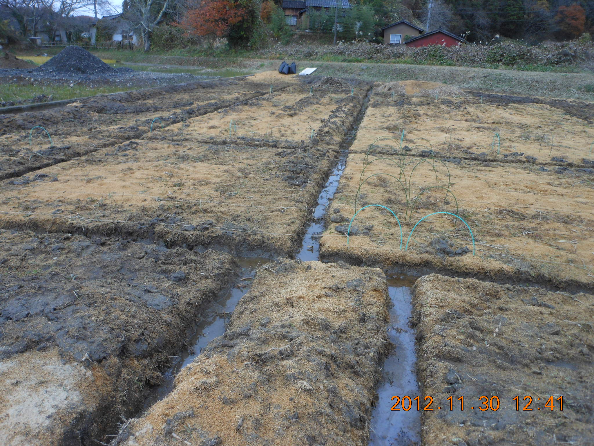 補備修正(ほびしゅうせい) 2012-11-30