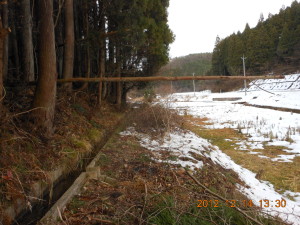 1号ほ場で倒木の撤去 2012-12-14