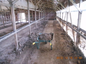 鶏舎の掃除と草刈り 2012-12-15