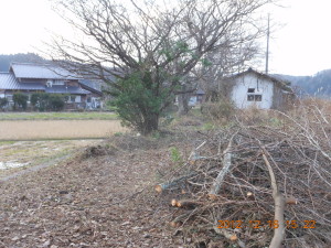 選挙だけど6号ほ場の草刈り 2012-12-16