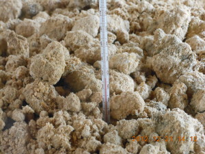 発酵米ぬかぼかし肥料作り 2012-12-21