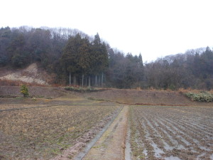 残りは明日の天候次第 2012-12-30