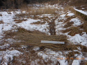 踏み込み温床作り(4) 2013-01-09