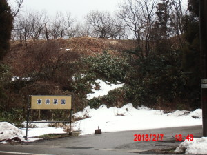 「栗のいが」を利用した腐葉土 2013-02-08