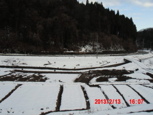 １号ほ場でわさび床作り（その２） 2013-02-14