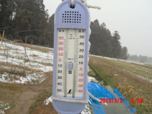 雪でした 2013-03-02