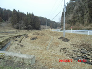 野焼きともみ殻散布 2013-03-07