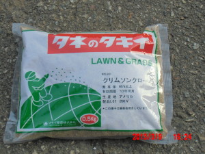 クリムソンクローバーの種をまいてみた 2013-03-09