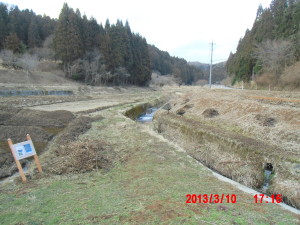 わらび用の草刈り 2013-03-10