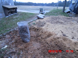 もみ殻堆肥を散布 2013-03-13