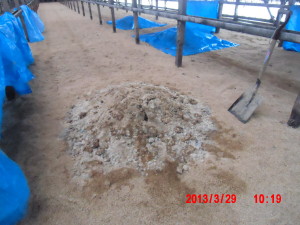 「もみ殻ぼかし」について 2013-03-30