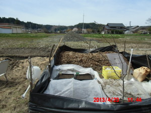 ハーブの種まき 2013-04-23