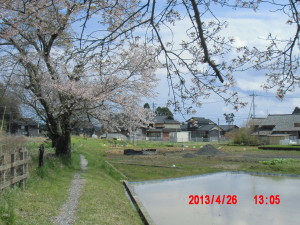 さてと・・・・荒起こし 2013-04-27