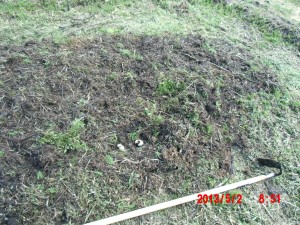 育苗床作り 2013-05-05