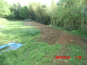 草刈りとマムシ 2013-06-03