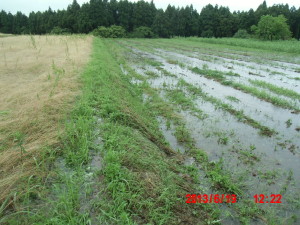 一夜明けて・・・2013-06-20