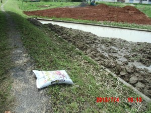 ハーブの移転作業 2013-07-04