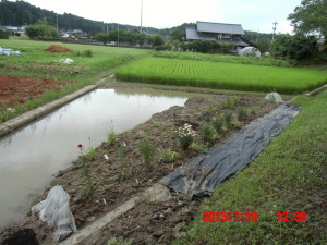 洪水対策（５） 2013-07-10