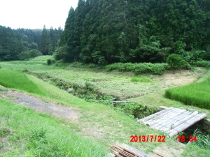 満月に合わせて草刈り 2013-07-22