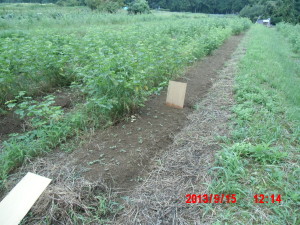 台風１８号 2013-09-15