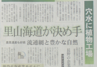 「太きゅうり」と「そうめん南瓜」の収穫 2013-09-06~07