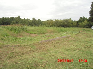 作業日誌　2013-１０月９日：間引きと草刈り