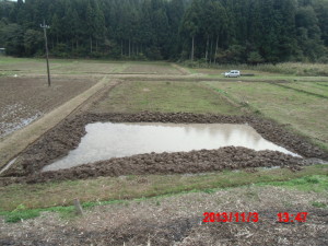 ひとつめのビオトープは５日かかりました 2013-11-04