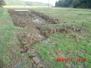 ３つ目のビオトープ完成 2013-11-09