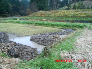 ３度目の冬 2013-12-12