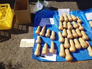 「顔の見える能登の食材」にバターナッツかぼちゃを出荷しました 2014-10-29 　