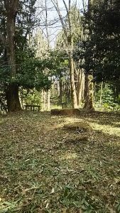 甲駅そばの大蓮寺（だいれんじ）の裏山の草刈りです 2016-04-02