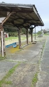 かぼちゃ畑の援農支援してました 2016-04-18