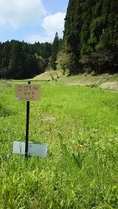 こごみ畑の看板立てました 2016-04-29