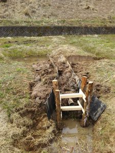 ここは花しょうぶとホタルの生息場所を考えてます 2017-04-05