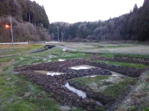 2アールほどの面積を深さ40cmほどまでの天地返しの作業中です 2017-04-10