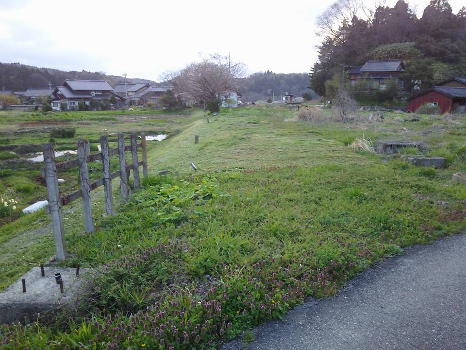 昨日から旧のと鉄道甲駅構内と周辺の草刈りです 2017-04-19