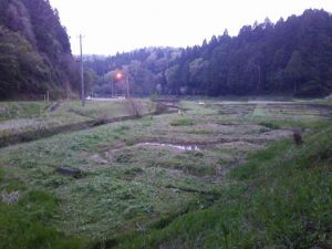 草刈りしてます 2017-04-30