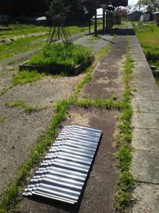 甲駅のホームにある花壇を作り替える作業やってます 2017-05-04