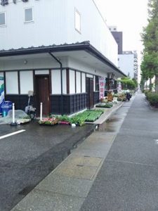 金沢の松下種苗さんで苗を買ってきました。やつがしらとピーマンです 2017-05-06