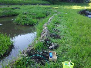 水ナス10株定植でした 2017-05-15