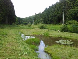 ほ場とその周囲の草刈り 2017-05-28