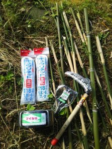 アピオスのネット張りです 2017-05-25