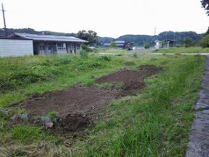 甲駅の花壇制作で夏そばの種をまいてみました 2017-06-06
