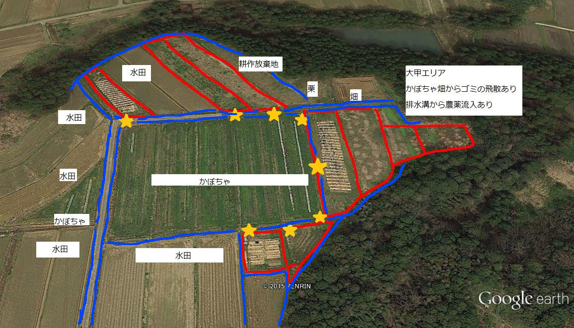 グーグルアースで見る2015年10月頃のほ場の状況-2017-09-26