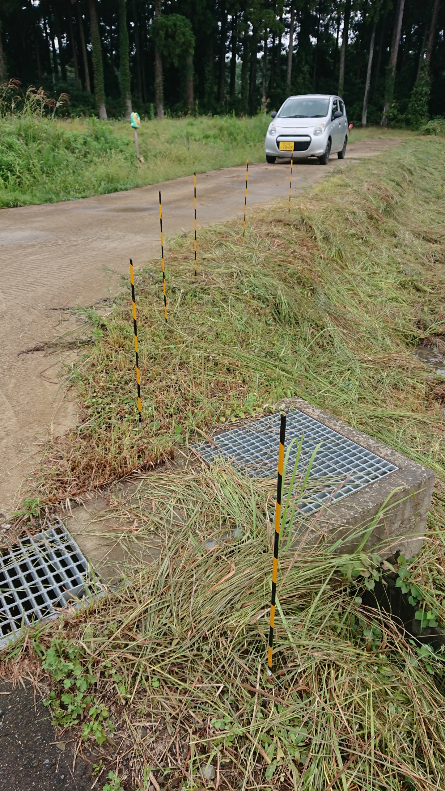 キクイモを親芋から作っている場所に安全対策をしました-2020-10-05