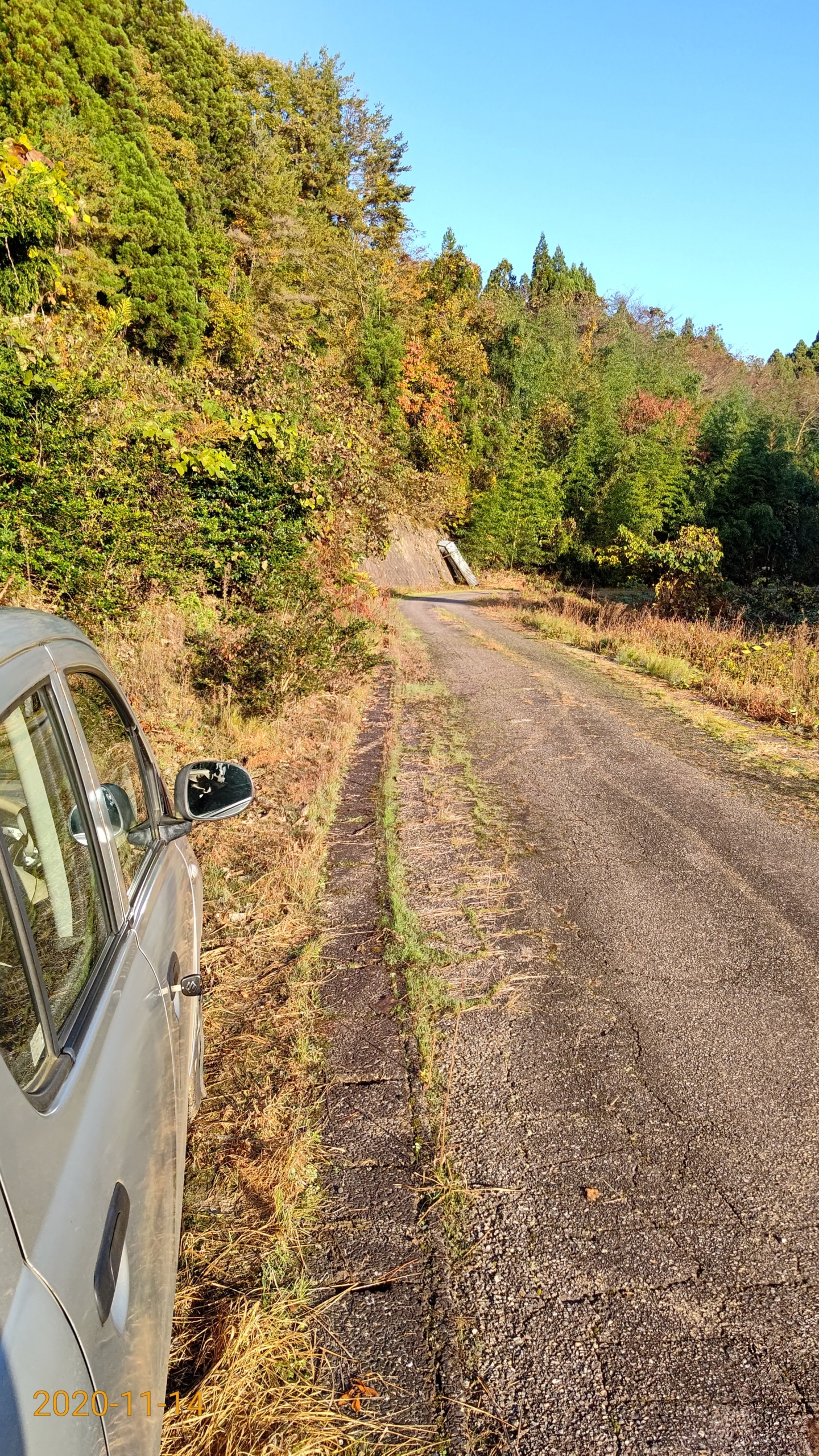 １１月１４日に警察に通報されて事情聴取されました-2020-11-17
