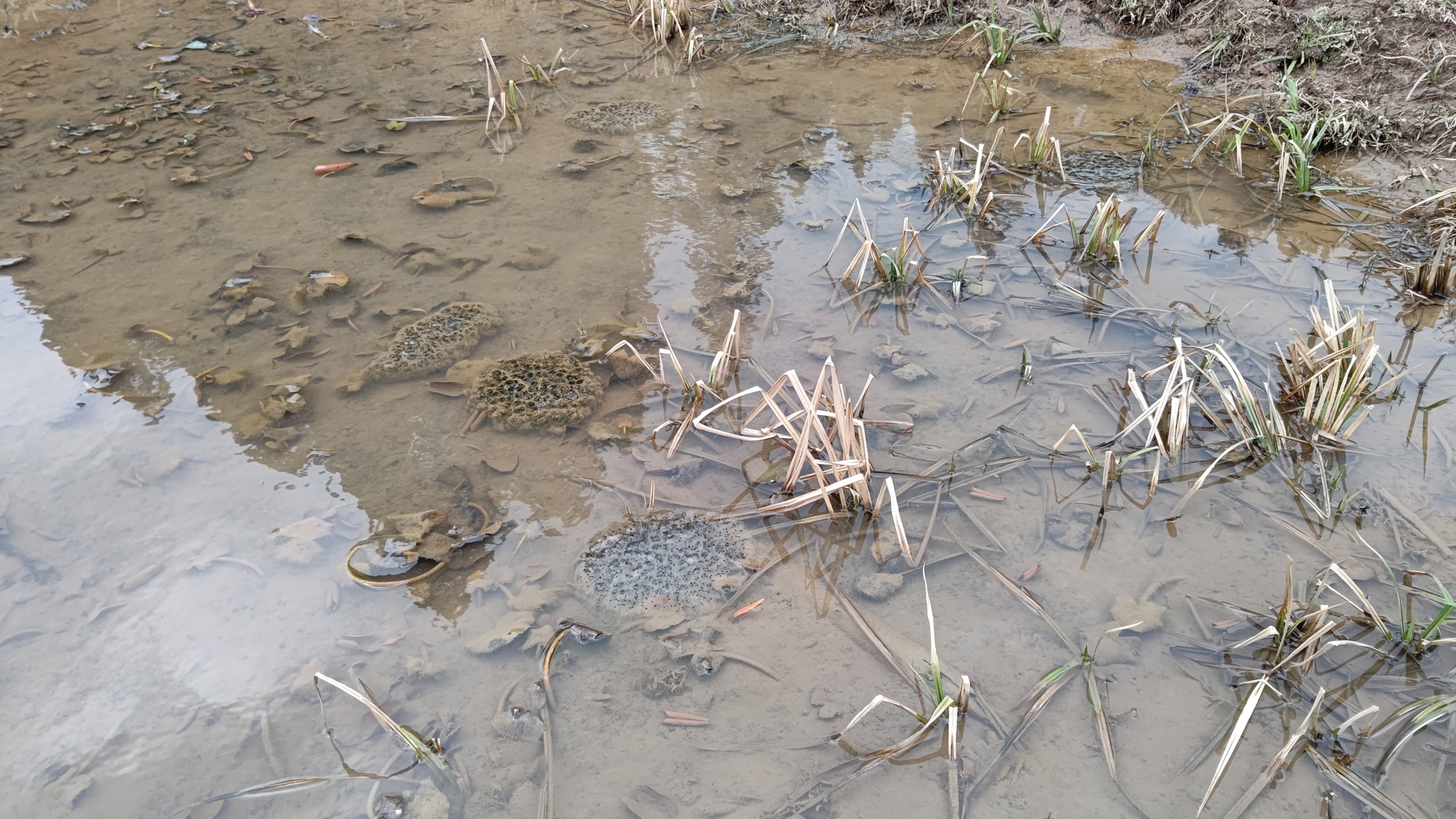 今日は暖かい日です-2021-02-21