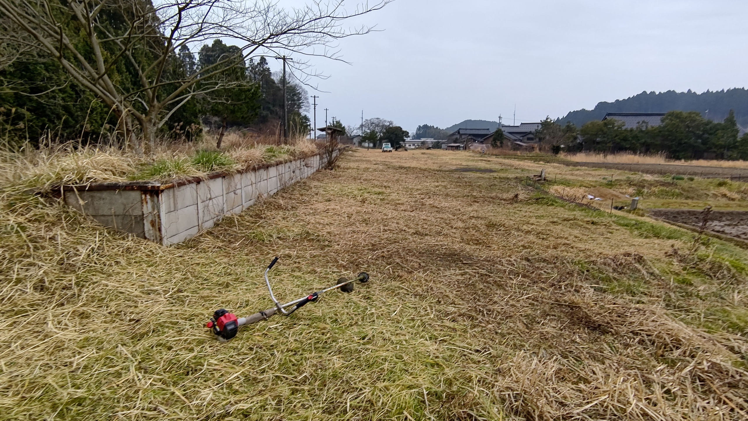 甲(かぶと)駅のホームと周りの草刈り-2021-03-20