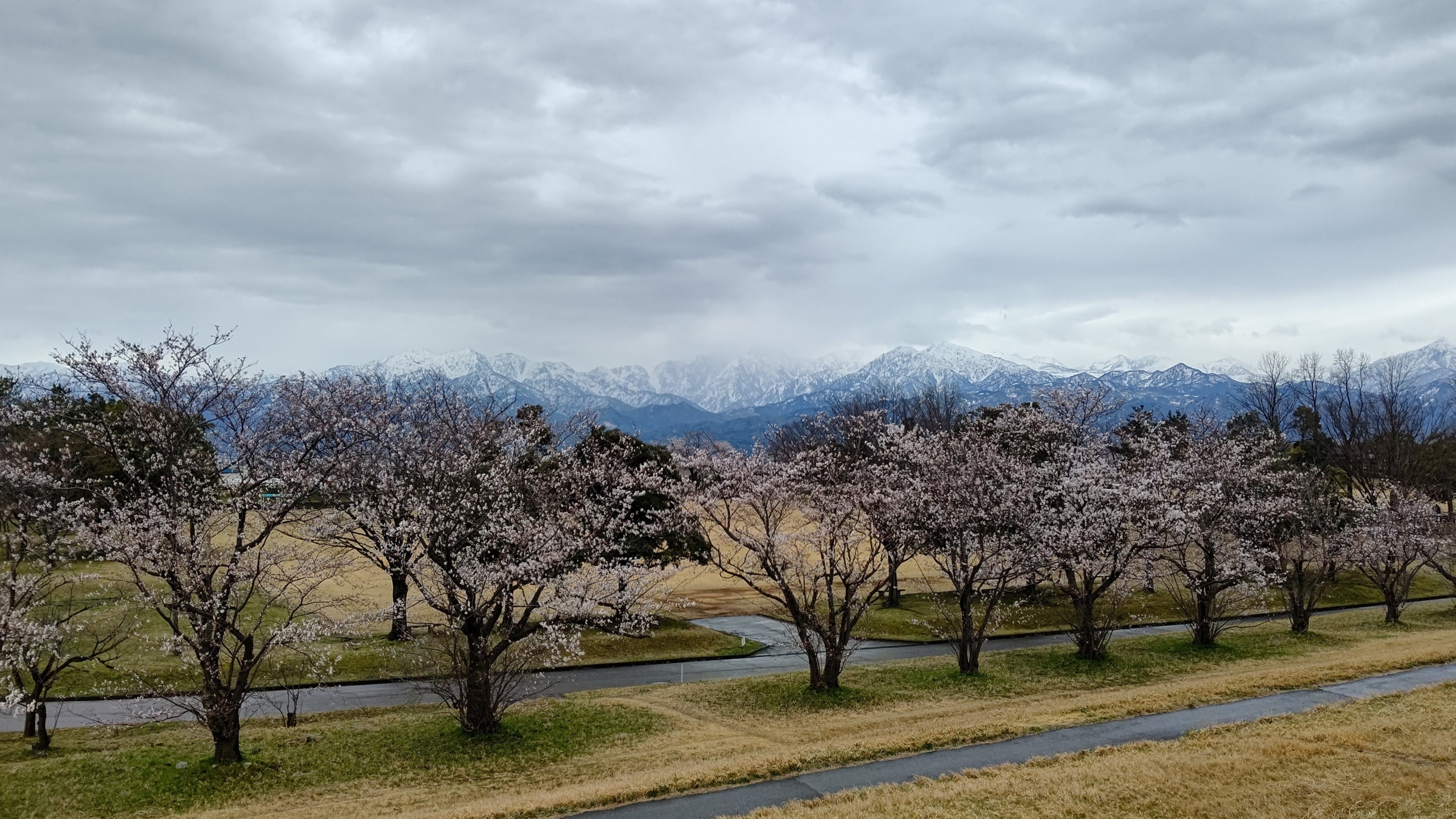 常願寺川マラソン大会の１０キロに参加しました-2021-03-28